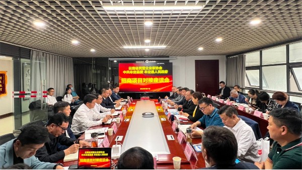 滇龍塑膠創始人陳學平參加牟定縣招商引資座談會