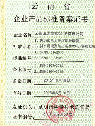 滇龍塑膠-企業備案證書