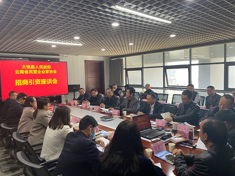 大姚縣企業(yè)家招商引資